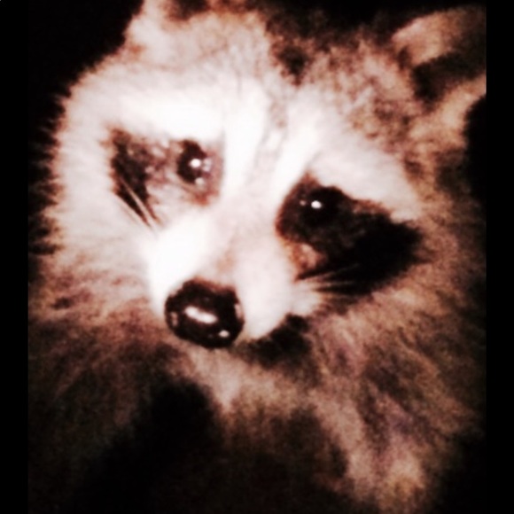 🐬🌺Your Seller/Buyer🐳 - Picture 4 of 5